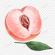 b站大片直播APP应用