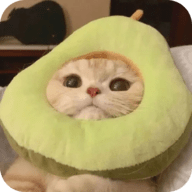 老司机开车APP应用