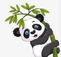 WWW,di4se·COM网站APPAPP应用